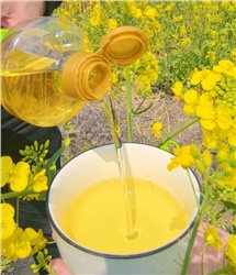 過(guò)年囤貨，買(mǎi)什么炒菜油更好更健康？